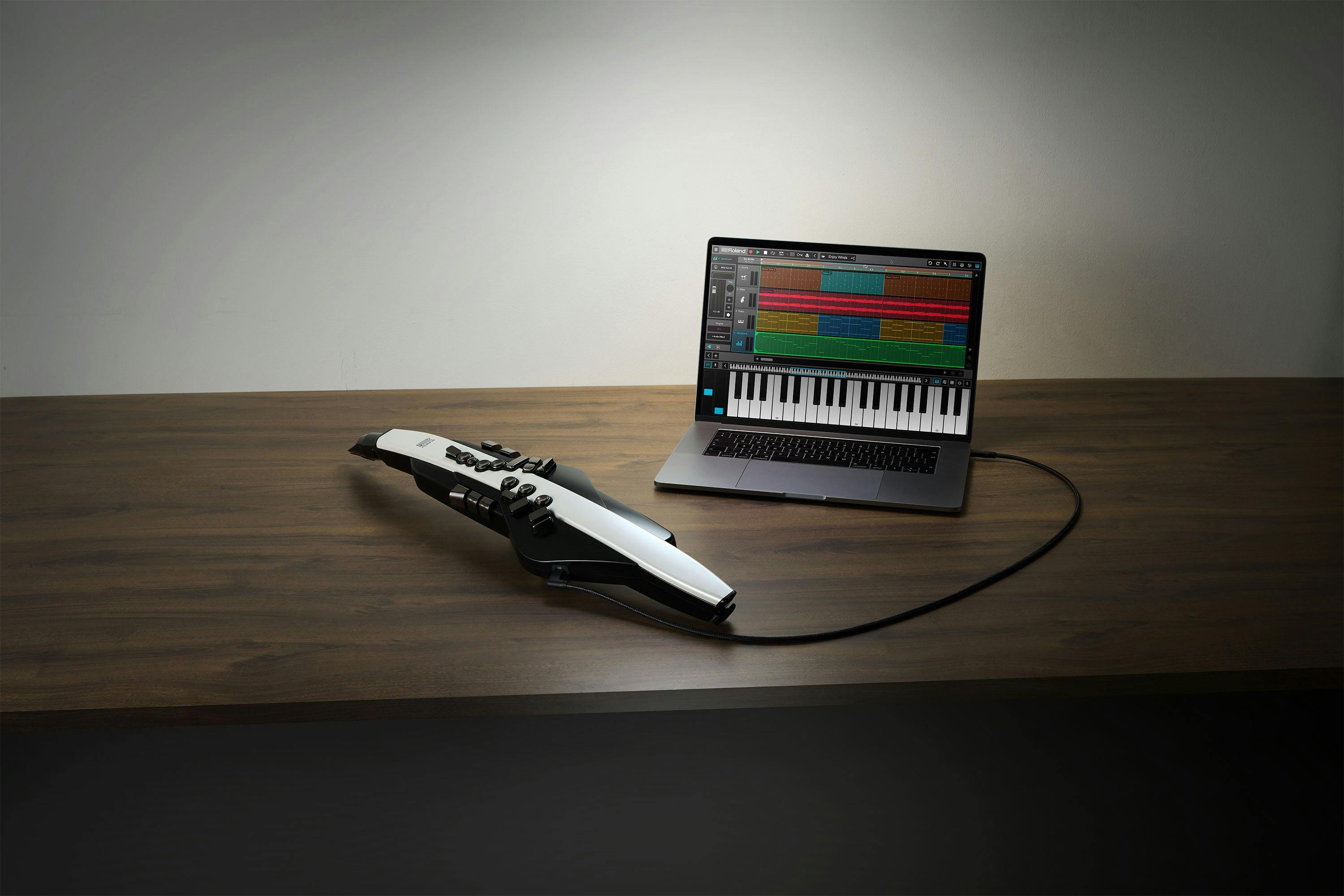 Roland AE-20 Aerophone Digital Wind Instrument - Andertons Music Co.